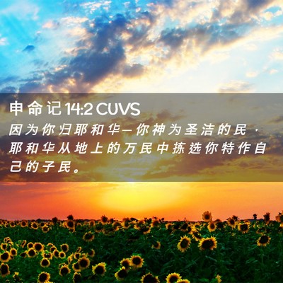Picture 02 - 申 命 记 14:2 CUVS - 因 为 你 归 耶 和 华 ─ 你 神 为 圣 - Bible Verse Picture