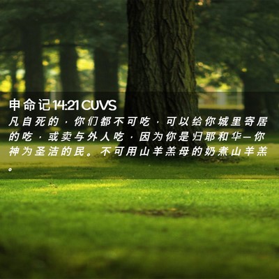 Picture 02 - 申 命 记 14:21 CUVS - 凡 自 死 的 ， 你 们 都 不 可 吃 ， - Bible Verse Picture