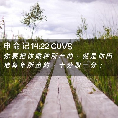 Picture 02 - 申 命 记 14:22 CUVS - 你 要 把 你 撒 种 所 产 的 ， 就 是 - Bible Verse Picture