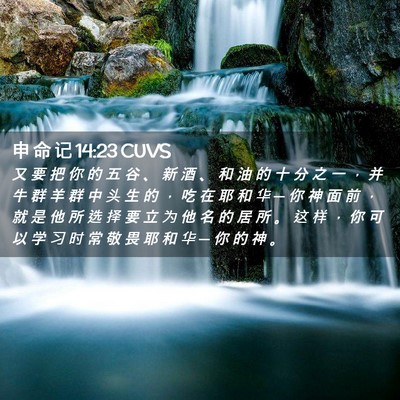 Picture 02 - 申 命 记 14:23 CUVS - 又 要 把 你 的 五 谷 、 新 酒 、 和 - Bible Verse Picture