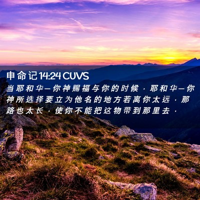Picture 02 - 申 命 记 14:24 CUVS - 当 耶 和 华 ─ 你 神 赐 福 与 你 的 - Bible Verse Picture