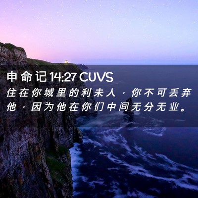Picture 02 - 申 命 记 14:27 CUVS - 住 在 你 城 里 的 利 未 人 ， 你 不 - Bible Verse Picture