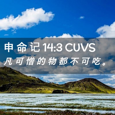 Picture 02 - 申 命 记 14:3 CUVS - 凡 可 憎 的 物 都 不 可 吃 - Bible Verse Picture
