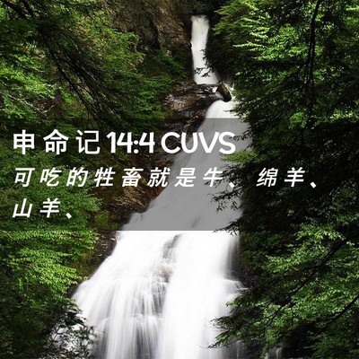Picture 02 - 申 命 记 14:4 CUVS - 可 吃 的 牲 畜 就 是 牛 、 绵 羊 、 - Bible Verse Picture