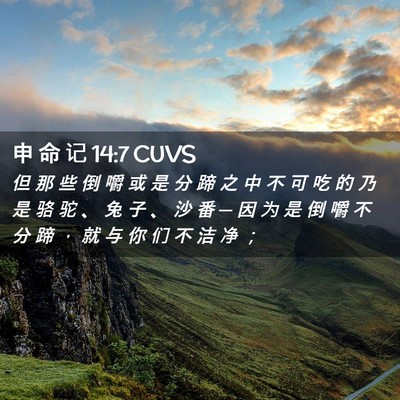 Picture 02 - 申 命 记 14:7 CUVS - 但 那 些 倒 嚼 或 是 分 蹄 之 中 不 - Bible Verse Picture