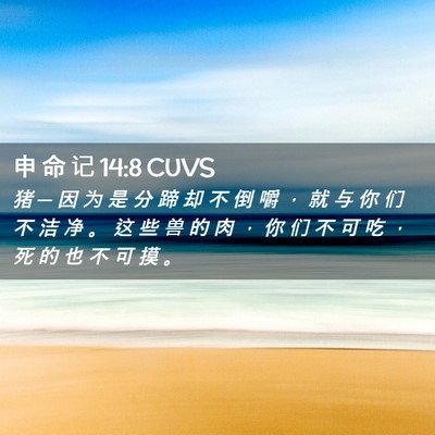 Picture 02 - 申 命 记 14:8 CUVS - 猪 ─ 因 为 是 分 蹄 却 不 倒 嚼 ， - Bible Verse Picture