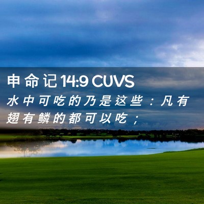 Picture 02 - 申 命 记 14:9 CUVS - 水 中 可 吃 的 乃 是 这 些 ： 凡 有 - Bible Verse Picture