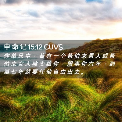 Picture 02 - 申 命 记 15:12 CUVS - 你 弟 兄 中 ， 若 有 一 个 希 伯 来 - Bible Verse Picture