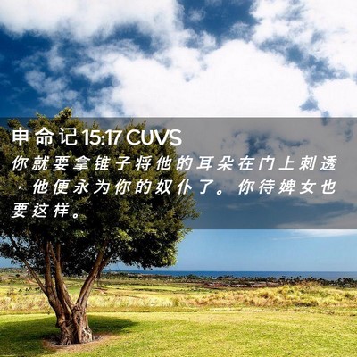 Picture 02 - 申 命 记 15:17 CUVS - 你 就 要 拿 锥 子 将 他 的 耳 朵 在 - Bible Verse Picture