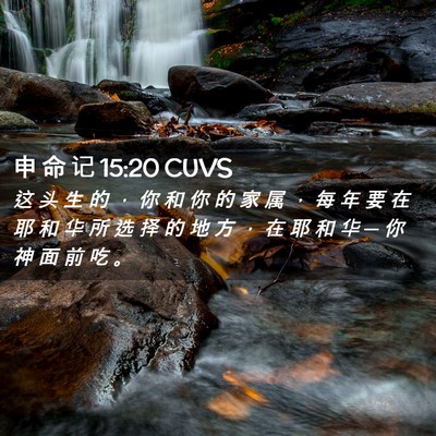 Picture 02 - 申 命 记 15:20 CUVS - 这 头 生 的 ， 你 和 你 的 家 属 ， - Bible Verse Picture