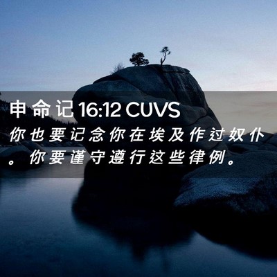 Picture 02 - 申 命 记 16:12 CUVS - 你 也 要 记 念 你 在 埃 及 作 过 奴 - Bible Verse Picture