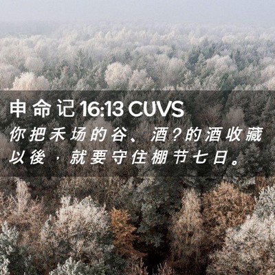 Picture 02 - 申 命 记 16:13 CUVS - 你 把 禾 场 的 谷 、 酒 ? 的 酒 收 藏 - Bible Verse Picture