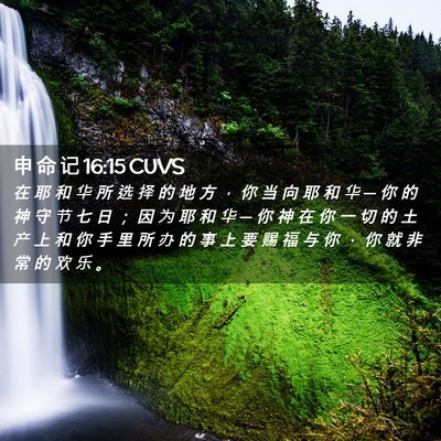 Picture 02 - 申 命 记 16:15 CUVS - 在 耶 和 华 所 选 择 的 地 方 ， 你 - Bible Verse Picture
