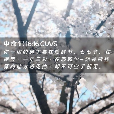 Picture 02 - 申 命 记 16:16 CUVS - 你 一 切 的 男 丁 要 在 除 酵 节 、 - Bible Verse Picture