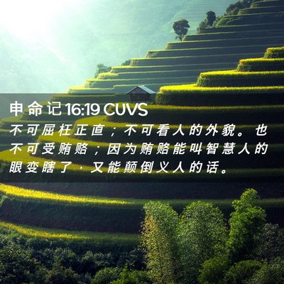 Picture 02 - 申 命 记 16:19 CUVS - 不 可 屈 枉 正 直 ； 不 可 看 人 的 - Bible Verse Picture