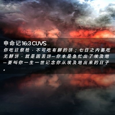 Picture 02 - 申 命 记 16:3 CUVS - 你 吃 这 祭 牲 ， 不 可 吃 有 酵 的 - Bible Verse Picture