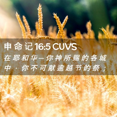 Picture 02 - 申 命 记 16:5 CUVS - 在 耶 和 华 ─ 你 神 所 赐 的 各 城 - Bible Verse Picture