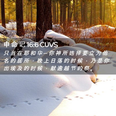 Picture 02 - 申 命 记 16:6 CUVS - 只 当 在 耶 和 华 ─ 你 神 所 选 择 - Bible Verse Picture