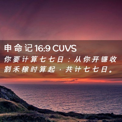 Picture 02 - 申 命 记 16:9 CUVS - 你 要 计 算 七 七 日 ： 从 你 开 镰 - Bible Verse Picture