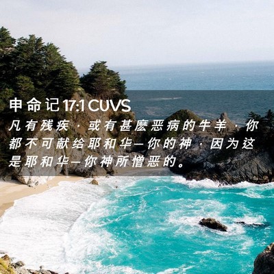 Picture 02 - 申 命 记 17:1 CUVS - 凡 有 残 疾 ， 或 有 甚 麽 恶 病 的 - Bible Verse Picture