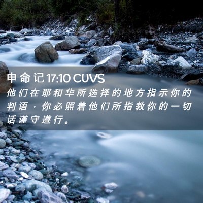 Picture 02 - 申 命 记 17:10 CUVS - 他 们 在 耶 和 华 所 选 择 的 地 方 - Bible Verse Picture