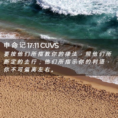 Picture 02 - 申 命 记 17:11 CUVS - 要 按 他 们 所 指 教 你 的 律 法 ， - Bible Verse Picture