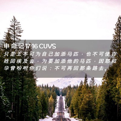 Picture 02 - 申 命 记 17:16 CUVS - 只 是 王 不 可 为 自 己 加 添 马 匹 - Bible Verse Picture