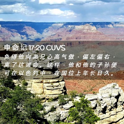 Picture 02 - 申 命 记 17:20 CUVS - 免 得 他 向 弟 兄 心 高 气 傲 ， 偏 - Bible Verse Picture