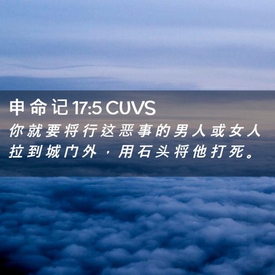 Picture 02 - 申 命 记 17:5 CUVS - 你 就 要 将 行 这 恶 事 的 男 人 或 - Bible Verse Picture