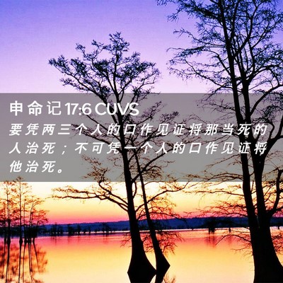 Picture 02 - 申 命 记 17:6 CUVS - 要 凭 两 三 个 人 的 口 作 见 证 将 - Bible Verse Picture