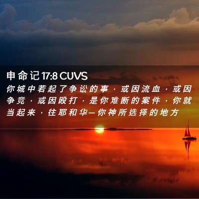 Picture 02 - 申 命 记 17:8 CUVS - 你 城 中 若 起 了 争 讼 的 事 ， 或 - Bible Verse Picture