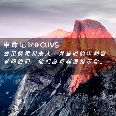 Picture 02 - 申 命 记 17:9 CUVS - 去 见 祭 司 利 未 人 ， 并 当 时 的 - Bible Verse Picture