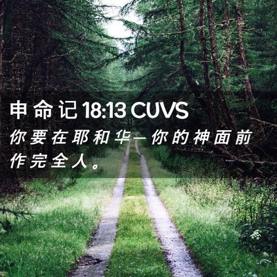 Picture 02 - 申 命 记 18:13 CUVS - 你 要 在 耶 和 华 ─ 你 的 神 面 前 - Bible Verse Picture