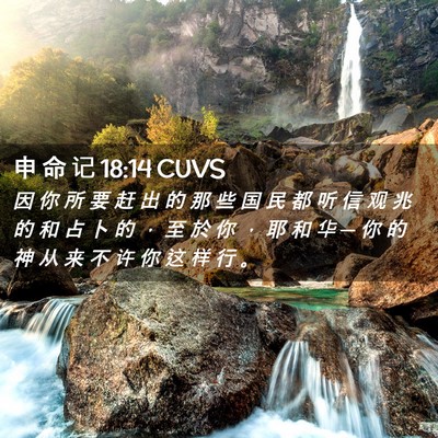 Picture 02 - 申 命 记 18:14 CUVS - 因 你 所 要 赶 出 的 那 些 国 民 都 - Bible Verse Picture