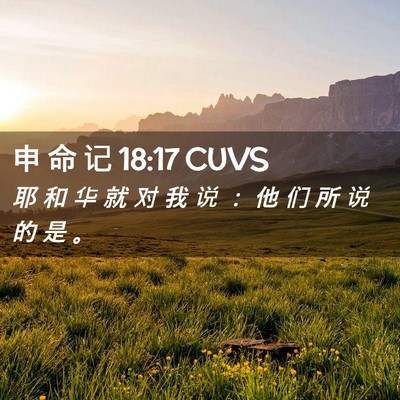 Picture 02 - 申 命 记 18:17 CUVS - 耶 和 华 就 对 我 说 ： 他 们 所 说 - Bible Verse Picture