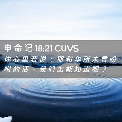 Picture 02 - 申 命 记 18:21 CUVS - 你 心 里 若 说 ： 耶 和 华 所 未 曾 - Bible Verse Picture