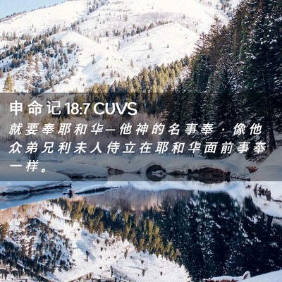Picture 02 - 申 命 记 18:7 CUVS - 就 要 奉 耶 和 华 ─ 他 神 的 名 事 - Bible Verse Picture