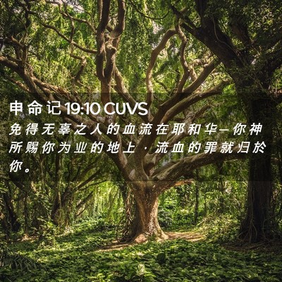 Picture 02 - 申 命 记 19:10 CUVS - 免 得 无 辜 之 人 的 血 流 在 耶 和 - Bible Verse Picture