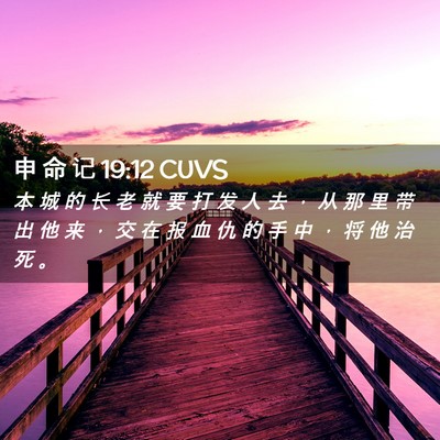 Picture 02 - 申 命 记 19:12 CUVS - 本 城 的 长 老 就 要 打 发 人 去 ， - Bible Verse Picture