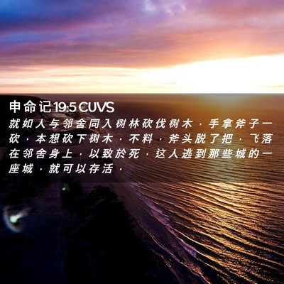 Picture 02 - 申 命 记 19:5 CUVS - 就 如 人 与 邻 舍 同 入 树 林 砍 伐 - Bible Verse Picture