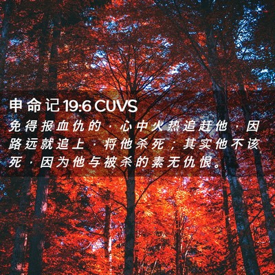 Picture 02 - 申 命 记 19:6 CUVS - 免 得 报 血 仇 的 ， 心 中 火 热 追 - Bible Verse Picture