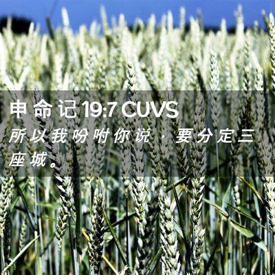Picture 02 - 申 命 记 19:7 CUVS - 所 以 我 吩 咐 你 说 ， 要 分 定 三 - Bible Verse Picture