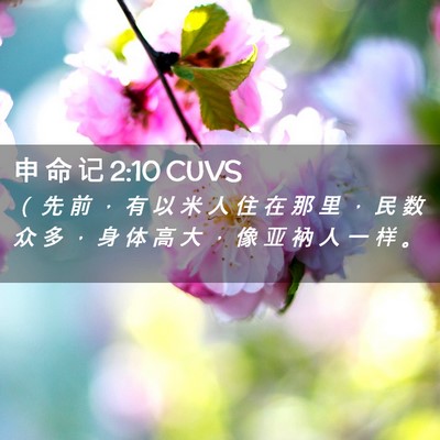 Picture 02 - 申 命 记 2:10 CUVS - （ 先 前 ， 有 以 米 人 住 在 那 里 - Bible Verse Picture