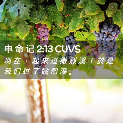 Picture 02 - 申 命 记 2:13 CUVS - 现 在 ， 起 来 过 撒 烈 溪 ！ 於 是 - Bible Verse Picture