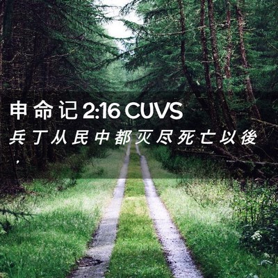 Picture 02 - 申 命 记 2:16 CUVS - 兵 丁 从 民 中 都 灭 尽 死 亡 以 後 - Bible Verse Picture