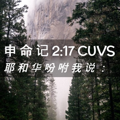 Picture 02 - 申 命 记 2:17 CUVS - 耶 和 华 吩 咐 我 说 - Bible Verse Picture