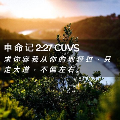 Picture 02 - 申 命 记 2:27 CUVS - 求 你 容 我 从 你 的 地 经 过 ， 只 - Bible Verse Picture