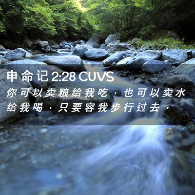 Picture 02 - 申 命 记 2:28 CUVS - 你 可 以 卖 粮 给 我 吃 ， 也 可 以 - Bible Verse Picture