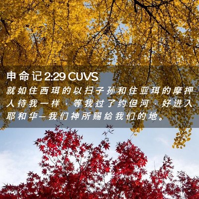 Picture 02 - 申 命 记 2:29 CUVS - 就 如 住 西 珥 的 以 扫 子 孙 和 住 - Bible Verse Picture