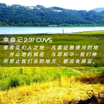 Picture 02 - 申 命 记 2:37 CUVS - 惟 有 亚 扪 人 之 地 ， 凡 靠 近 雅 - Bible Verse Picture
